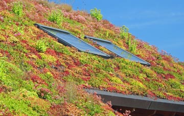 Stratton St Michael living roof systems