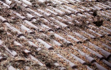 Stratton St Michael roof cleaning companies